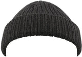Atlantis Docker Short Beanie With Turn Up