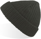 Atlantis Docker Short Beanie With Turn Up