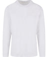 Regular fit long sleeve shirt