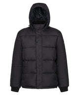 Northdale insulated jacket