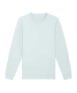 Roller unisex crew neck sweatshirt (STSU868)