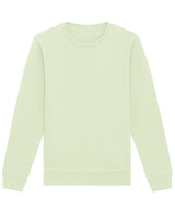 Roller unisex crew neck sweatshirt (STSU868)