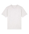 Freestyler relaxed heavy t-shirt (STTU788)