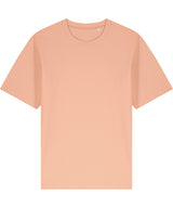 Freestyler relaxed heavy t-shirt (STTU788)