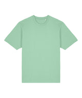 Freestyler relaxed heavy t-shirt (STTU788)