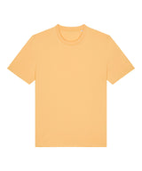 Unisex Creator 2.0 iconic t-shirt (STTU169)