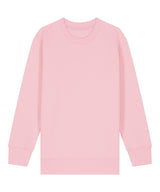 Kids Mini Changer 2.0 iconic crew neck sweatshirt (STSK181)