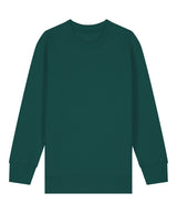 Kids Mini Changer 2.0 iconic crew neck sweatshirt (STSK181)