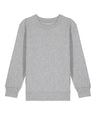 Kids Mini Changer 2.0 iconic crew neck sweatshirt (STSK181)