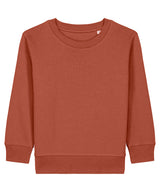 Kids Mini Changer 2.0 iconic crew neck sweatshirt (STSK181)
