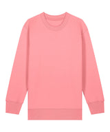 Kids Mini Changer 2.0 iconic crew neck sweatshirt (STSK181)