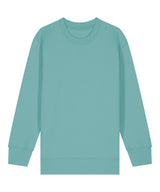Kids Mini Changer 2.0 iconic crew neck sweatshirt (STSK181)