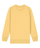 Kids Mini Changer 2.0 iconic crew neck sweatshirt (STSK181)