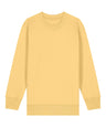 Kids Mini Changer 2.0 iconic crew neck sweatshirt (STSK181)