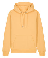 Unisex Cruiser 2.0 iconic hoodie sweatshirt (STSU177)