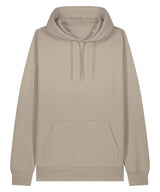 Unisex Cruiser 2.0 iconic hoodie sweatshirt (STSU177)