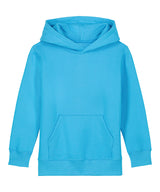 Kids Mini Cruiser 2.0 iconic hoodie sweatshirt (STSK180)