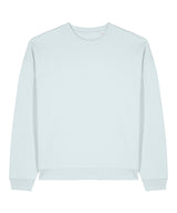 Radder 2.0 (STSU208)