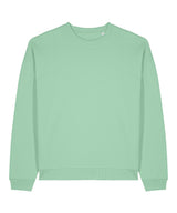 Radder 2.0 (STSU208)