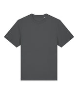 Unisex Sparker 2.0 heavy t-shirt (STTU171)