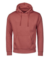 Urban hooded sweatshirt (5152)